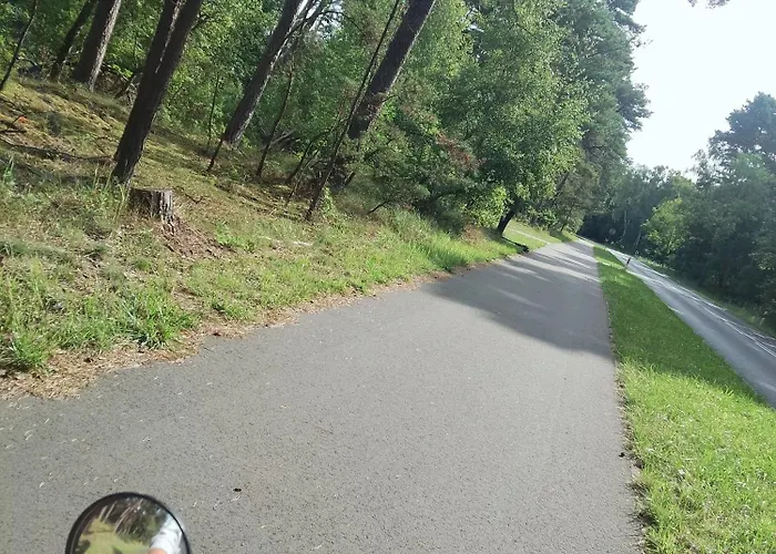 Dom wakacyjny Palmas